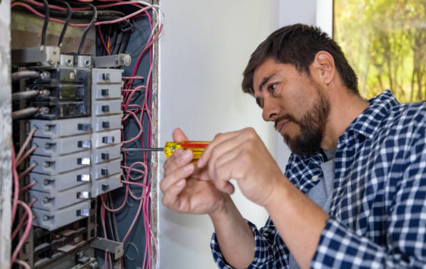 Best Ceiling Fan Installation Electrician  in Lisle, IL